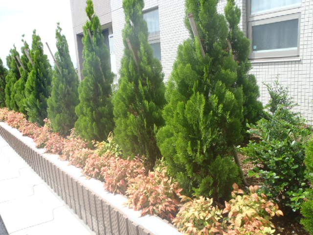造園工事